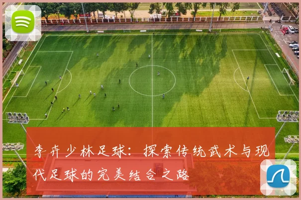 李卉少林足球：探索传统武术与现代足球的完美结合之路
